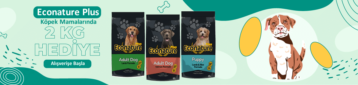 1200x285-köpek.png (69 KB)