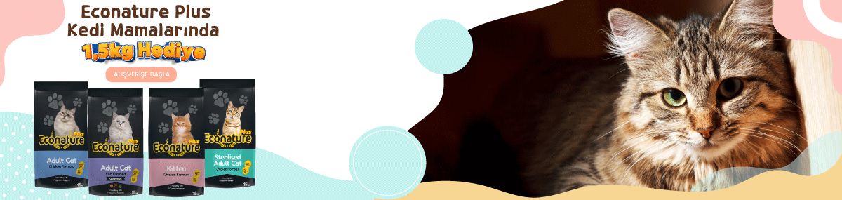 1200x285-kedi.png (109 KB)