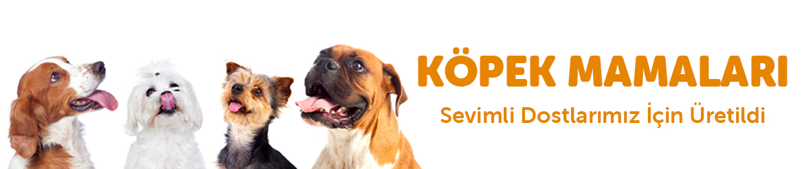 KÖPEK-WEB-BANNER2.jpg (146 KB)