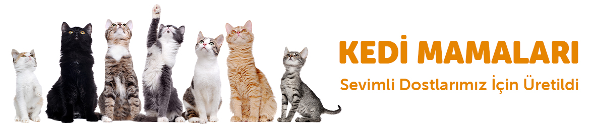 KEDİ-WEB-BANNER2.jpg (167 KB)