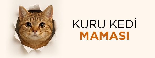 Kedi Mamaları