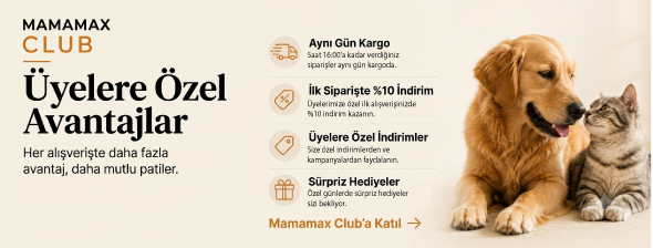 Üyelik Sistemi