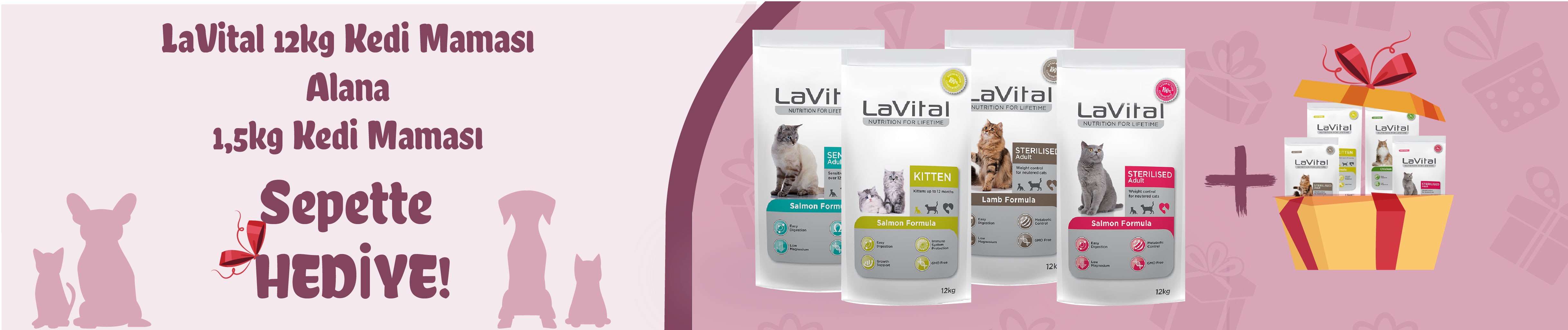 lavital-12kg-kedi-mamasi-kampanyasi-1170x246.jpg (432 KB)
