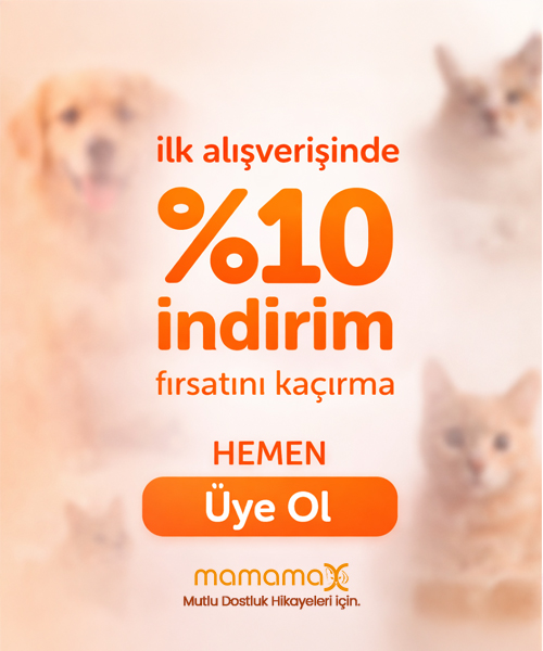 Mamamax-pop-up.jpg (161 KB)