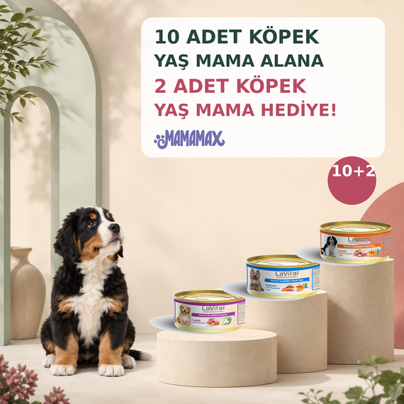 10 Adet Köpek Yaş Mama Alana 2 Adet Köpek Yaş Mama Hediye! 