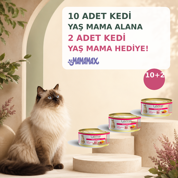 10 Adet Kedi Yaş Mama Alana 2 Adet Kedi Yaş Mama Hediye! 