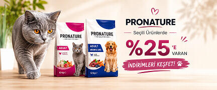 KÖPEK