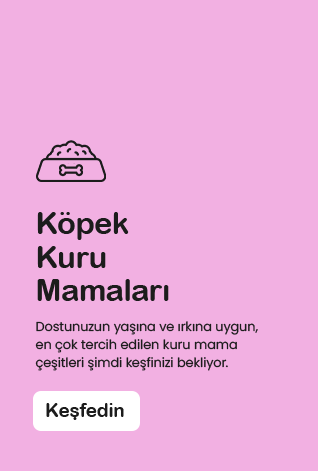 Kuru Köpek Mamaları
