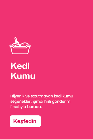 Kedi Kumu