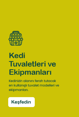 Kedi Tuvaletleri ve Ekipmanları