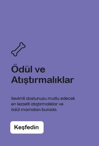 Ödül ve Atıştırmalıklar