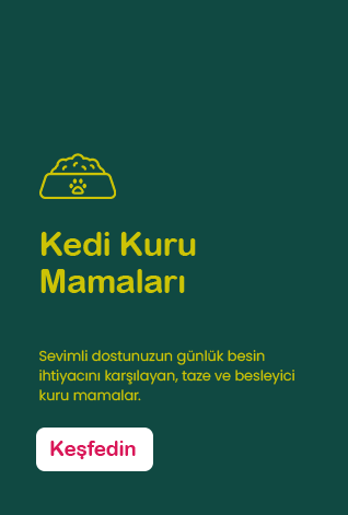 Kedi Kuru Mamaları