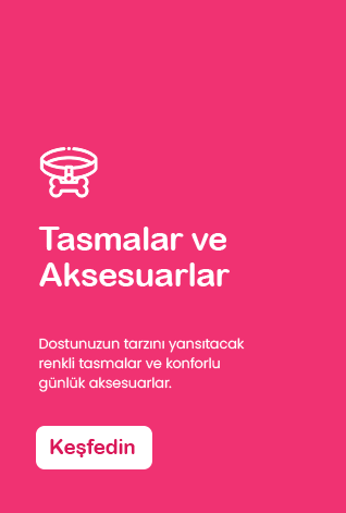 Tasmalar ve Aksesuarlar