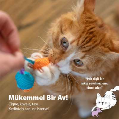 Catstages Catnipli Kedi Fare Oyuncağı 2'li - 3