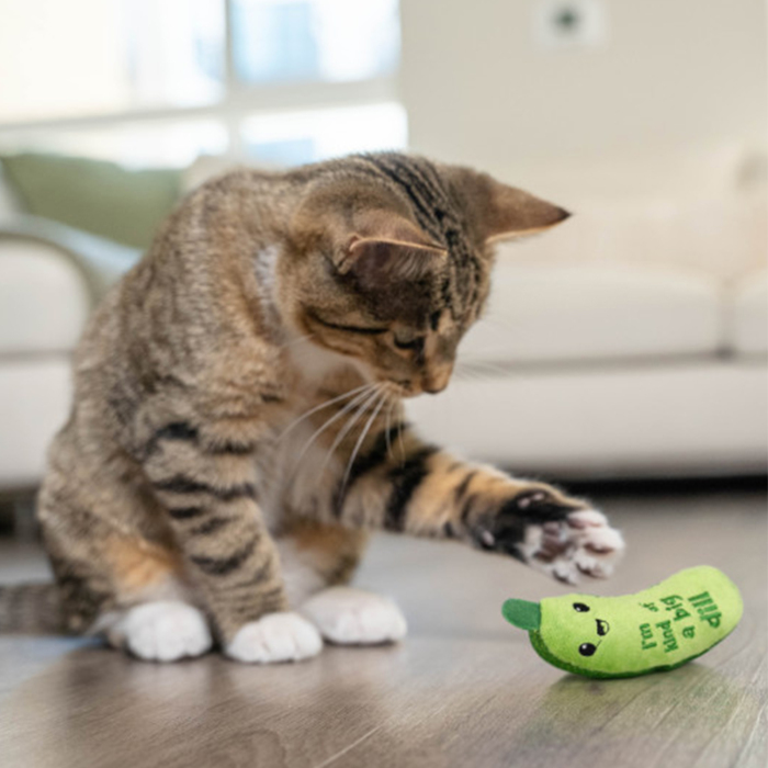 Catstages Crunchy Pickle Catnipli Turşu Kedi Oyuncağı - 5