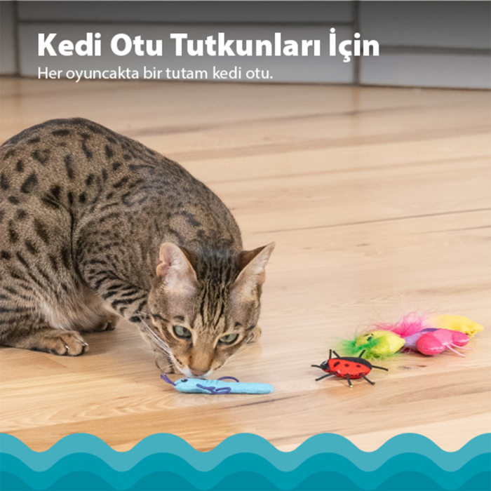 Catstages Cute As A Bug Catnipli Böcek Kedi Oyuncak Seti 6'lı - 3