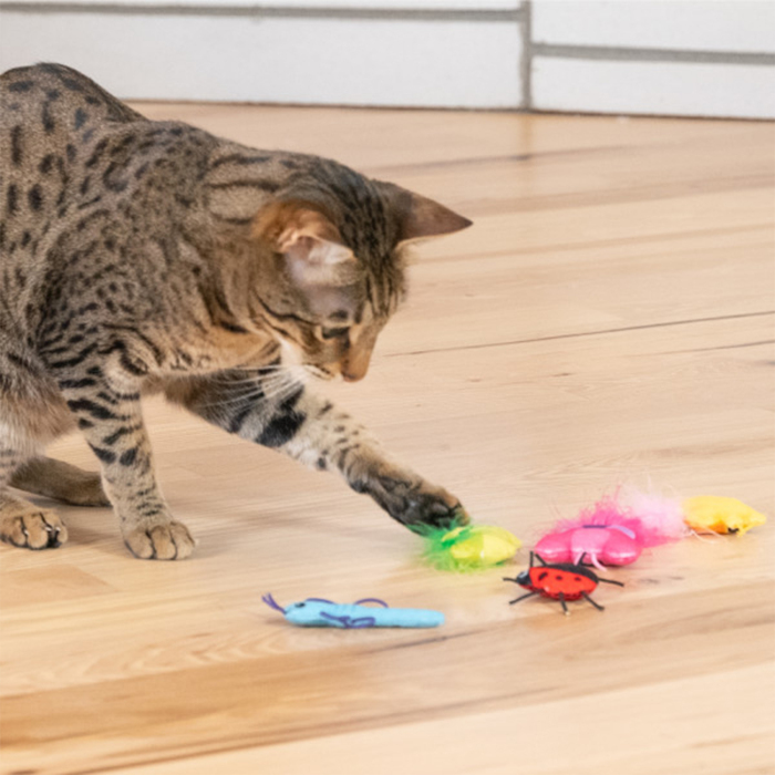Catstages Cute As A Bug Catnipli Böcek Kedi Oyuncak Seti 6'lı - 4