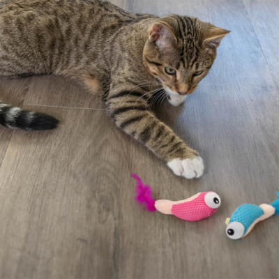 Catstages Dental Catnipli Karides Kedi Oyuncağı 2'li - 4