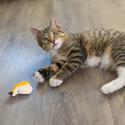 Catstages Dental Catnipli Muz Kedi Oyuncağı - 4
