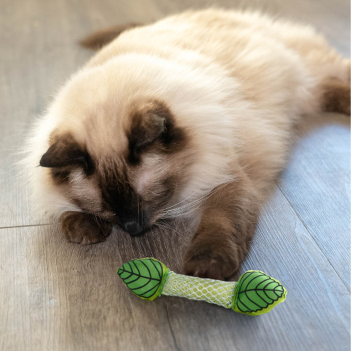 Catstages Dental Catnipli Nane Kedi Oyuncağı - 3