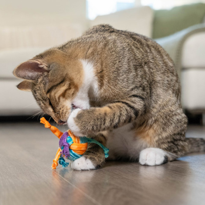 Catstages Dental Catnipli Top Kedi Oyuncağı - 4