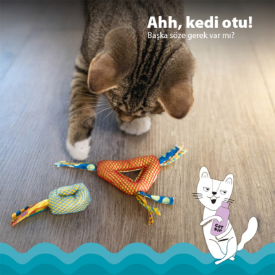 Catstages Dental Kedi Çiğneme Oyuncağı - 3