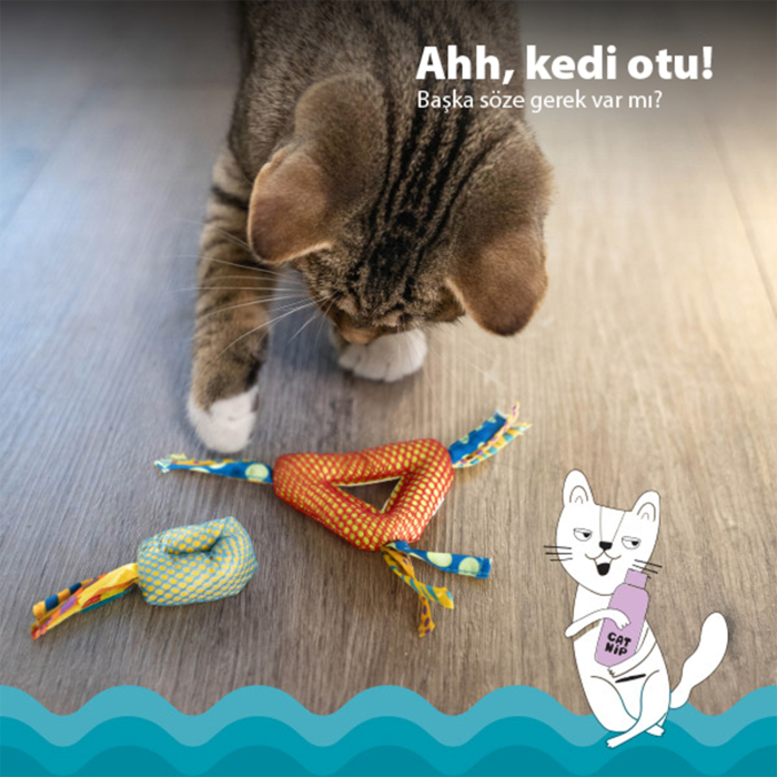 Catstages Dental Kedi Çiğneme Oyuncağı - 3