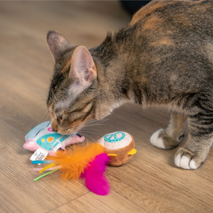 Catstages Festival Catnipli Kedi Oyuncak Seti 3'lü - 4