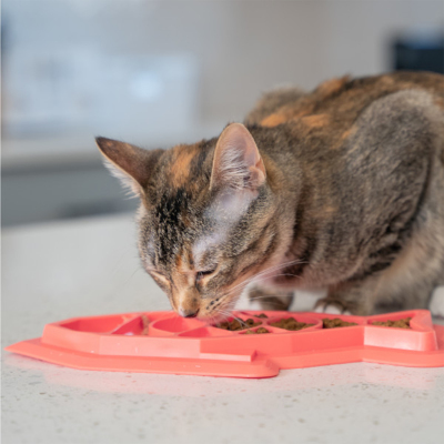 Catstages Fishie Fun Feed Yavaş Yeme Matı - 5