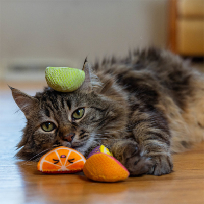 Catstages Fruit Wedges Catnipli Meyve Kedi Oyuncağı 4'lü - 4