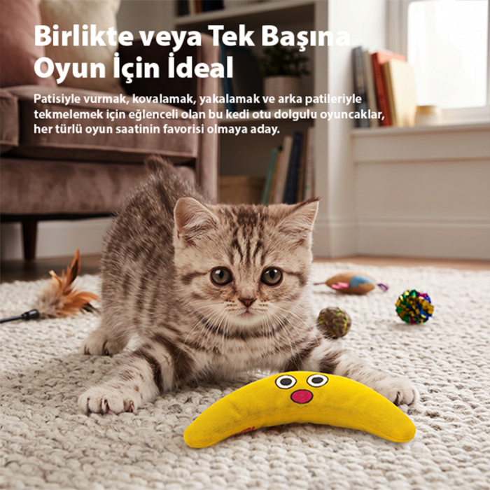 Catstages Green Magic Bumerang Catnipli Kedi Oyuncağı - 4