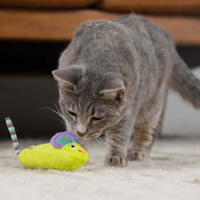 Catstages Green Magic Süper Fare Catnipli Kedi Oyuncağı - 3