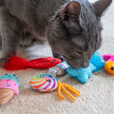 Catstages Kitty Sweet Treats Catnipli Kedi Oyuncak Seti 6'lı - 5