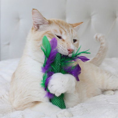 Catstages Krazy Kale Catnipli Kedi Oyuncağı - 5