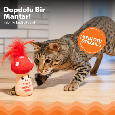 Catstages Really Fungi Catnipli Mantar Kedi Oyuncağı - 3
