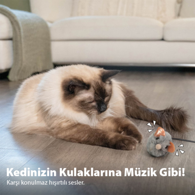 Catstages Squeak Squeak Mouse Catnipli Fare Kedi Oyuncağı - 4
