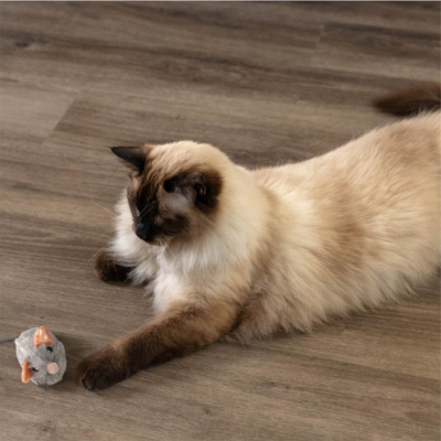 Catstages Squeak Squeak Mouse Catnipli Fare Kedi Oyuncağı - 5