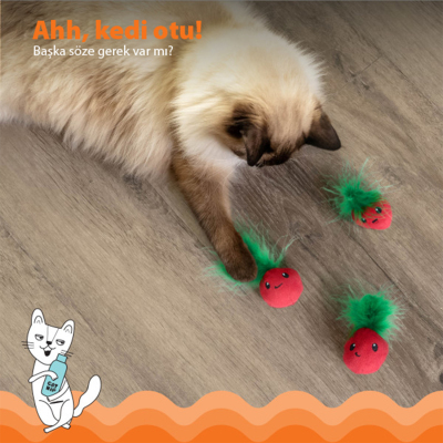 Catstages Strawbabies Catnipli Çilek Kedi Oyuncağı 3'lü - 5