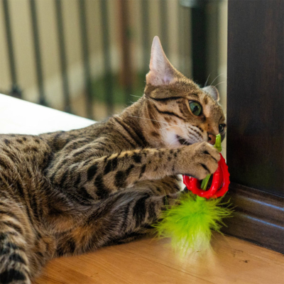Catstages Strawberry Teether Çilek Diş Kaşıyıcı Kedi Oyuncağı - 5