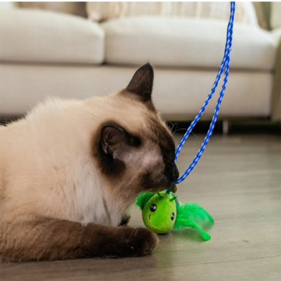 Catstages Tail Teaser Kedi Oltası - 4