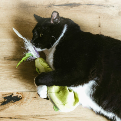 Catstages Wiggle Worm Hareketli Kedi Solucan Oyuncak - 4