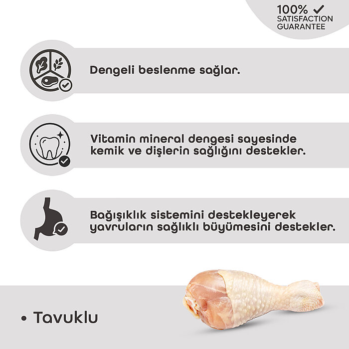 Croque Yetişkin Kuru Kedi Maması (Adult Cat) Tavuk Etli 15KG - 3