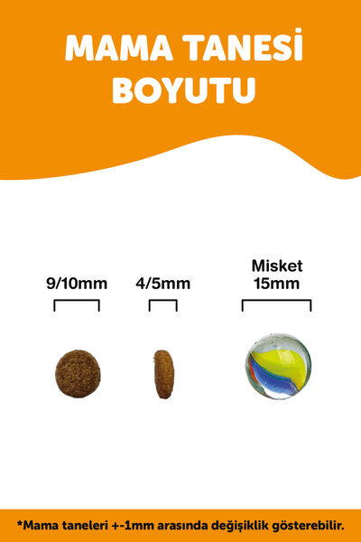 Econature Plus Kısırlaştırılmış Kuru Kedi Maması (Sterilised) Tavuk Etli - 15KG