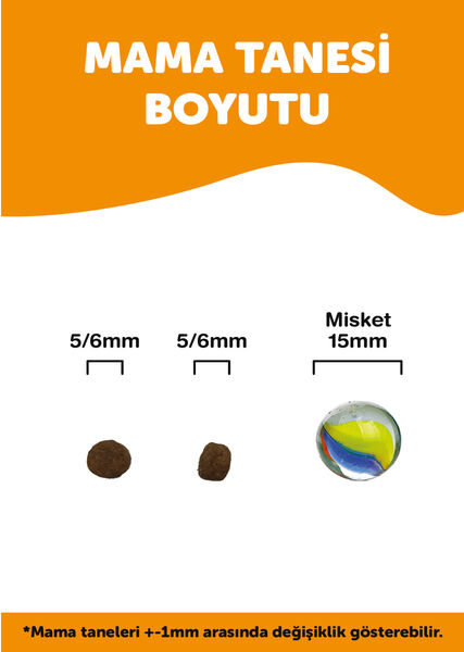 Econature Plus Yavru Kuru Kedi Maması (Kitten) - Tavuk Etli - 13,5+1,5KG HEDİYE