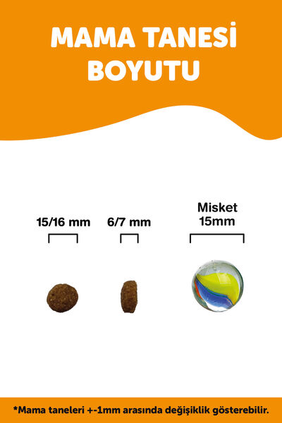 Econature Plus Yetişkin Kuru Köpek Maması - Somonlu - 15 KG