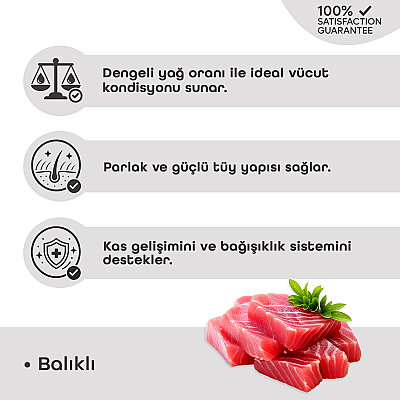 Econature Plus Yetişkin Gurme Kuru Kedi Maması (Adult Cat) Balıklı 15 KG - 3
