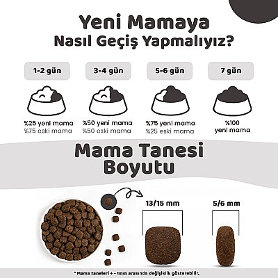 Econature Plus Yetişkin Kuru Köpek Maması - Kuzu Etli - 15 KG - 4