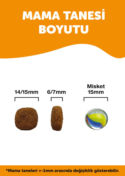Econature Plus Yetişkin Kuru Köpek Maması - Kuzu Etli - 15 KG
