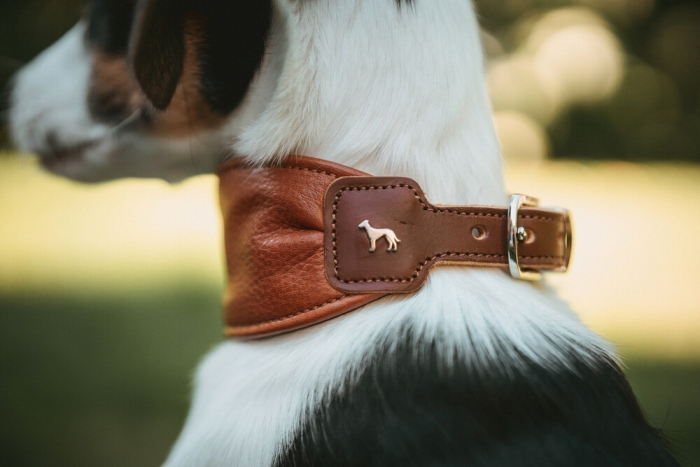 Hunter Köpek Boyun Tasması Collar Ergonomic Arvika Taba 45/S - 4