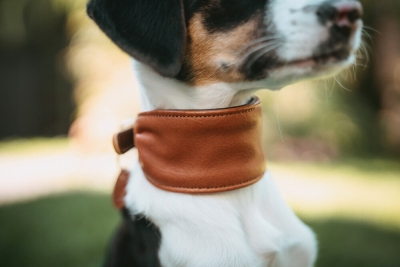 Hunter Köpek Boyun Tasması Collar Ergonomic Arvika Taba 45/S - 5